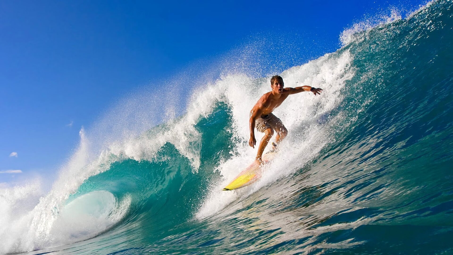 世俱杯小组出线：各队形势分析，晋级形势严峻，世俱杯介绍